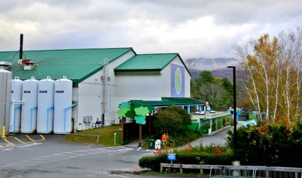 Ben and Jerrys Ice Cream Factory Tour  including Free Samples